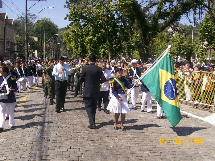 Desfile civico