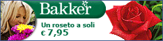 Bakker - Fiori e Piante