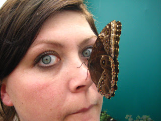 Butterfly On Nose