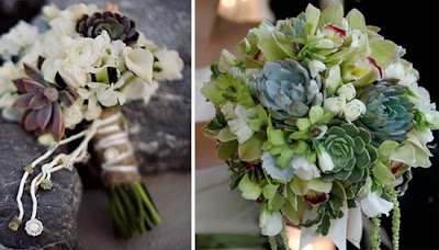 Green Wedding Shoes Blog on Bloomerism    A Blog By Inbloom Event Design  Wedding Succulents