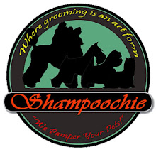 Shampoochie Pet Salon