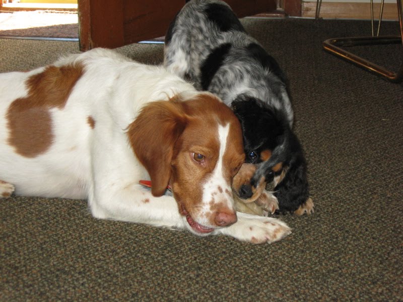 [Duke+and+LSP+sharing.jpg]