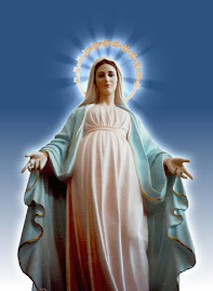 VIRGEN DE LA MEDJUGORJE