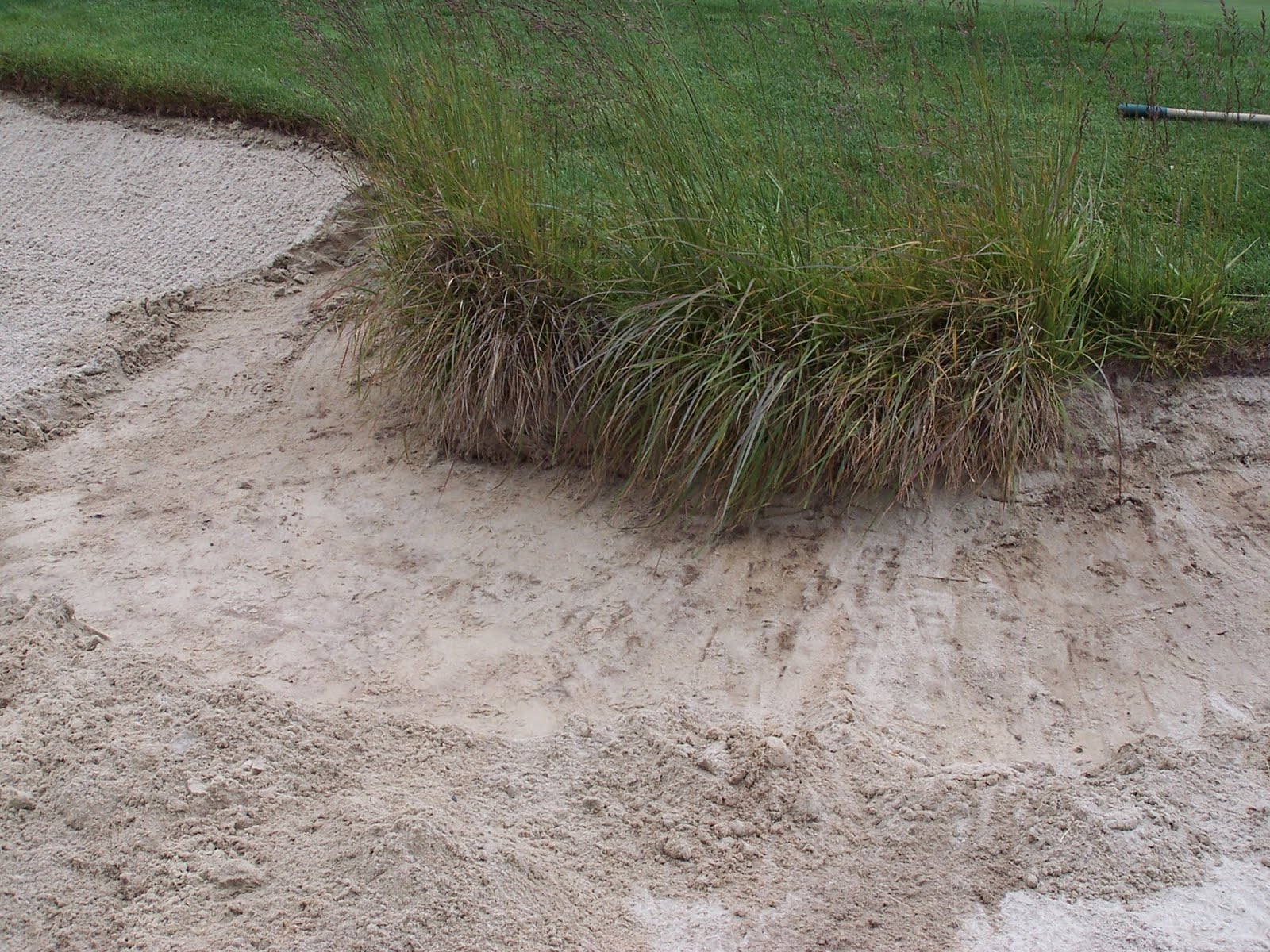 Santa Lucia Preserve Small Ornamental Grass Removal Project