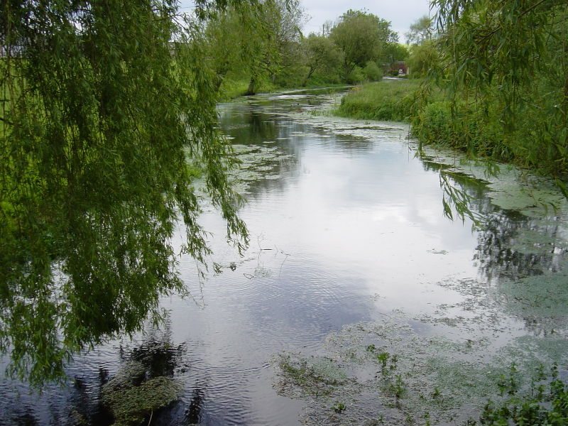 [800px-MeonSpring2.jpg]