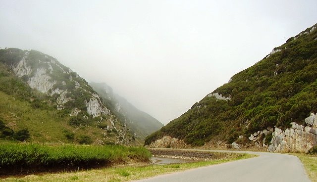[P6130963.JPG]