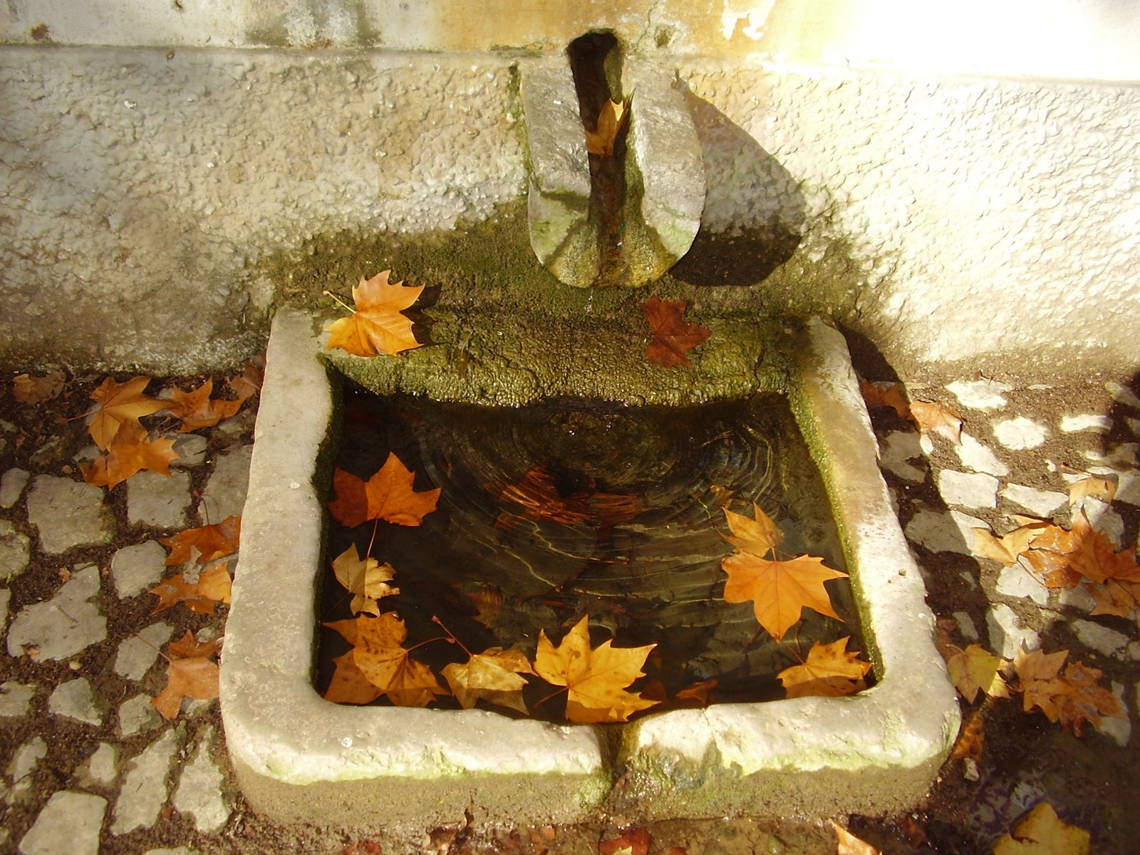 [PB120122.JPG]