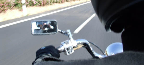 [espanha_de_mota.JPG]