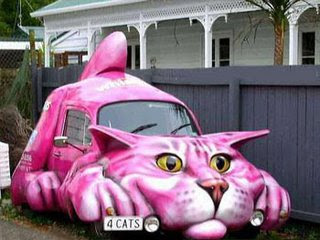 cats pink