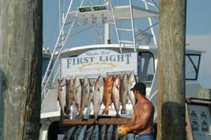 Destin fishing charter