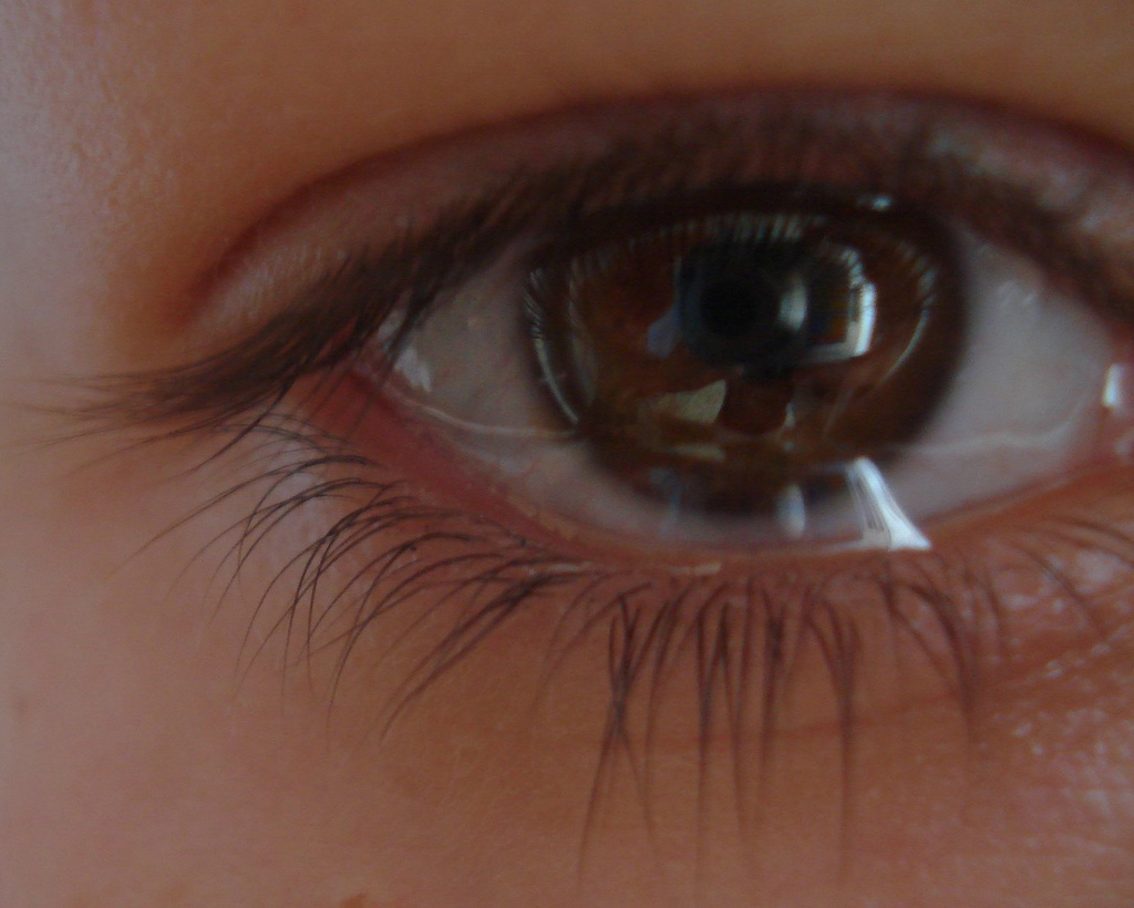 Tears of Gratitude Tears of Gratitude