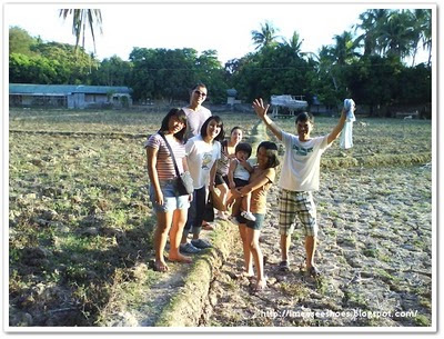 ricefield, dry, family