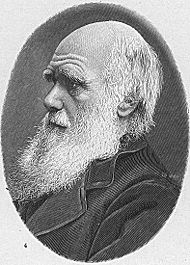 [darwin.jpg]