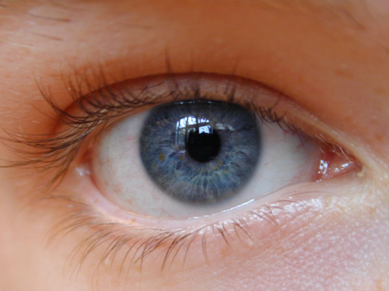 http://2.bp.blogspot.com/_x3jMlLS5dws/TCo9VpwjKvI/AAAAAAAACHE/gpEnkgcbCUc/s1600/b1eye011.jpg