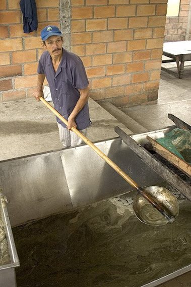 TRABAJO CON CAÑA DE AZUCAR