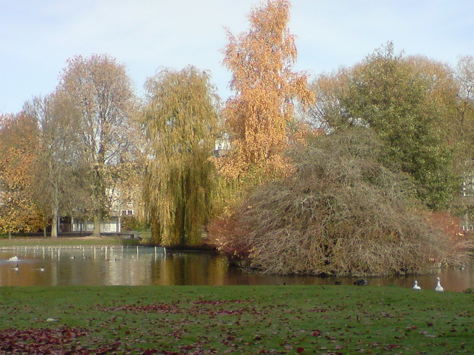 [DSC00074.JPG]