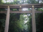 朝の明治神宮/表参道