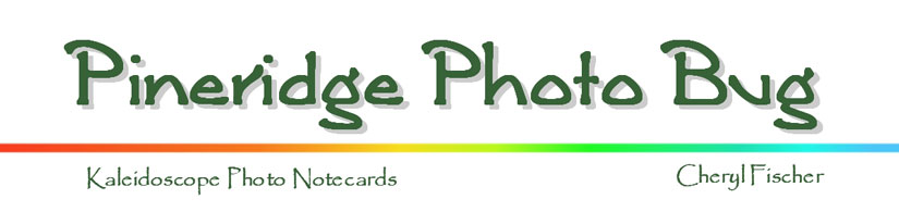 Pineridge Photo Bug