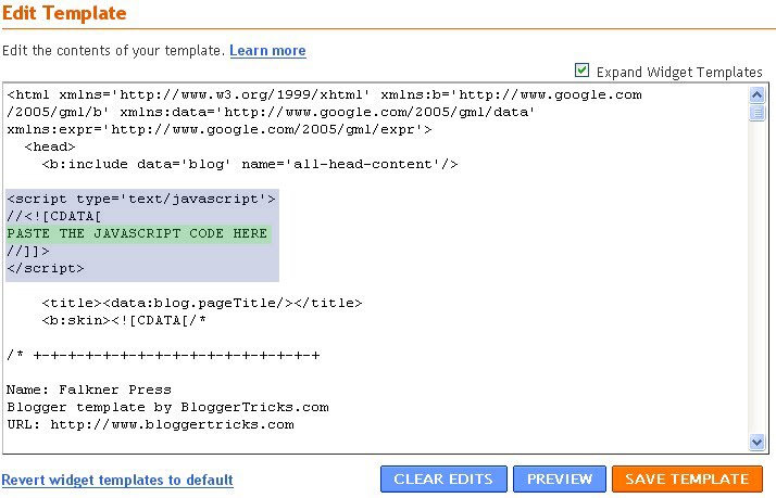 [paste+the+javascript+code+like+this.jpg]