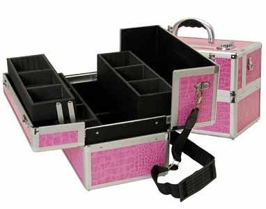 Pink Makeup Train Case New