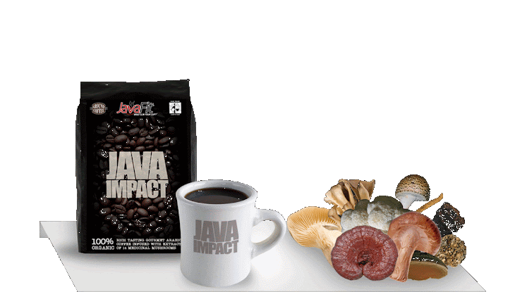 Java Impact Ganoderma Mushroom Coffee