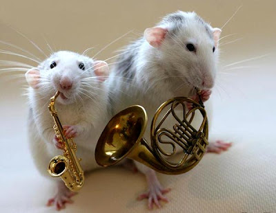 Mouse Band