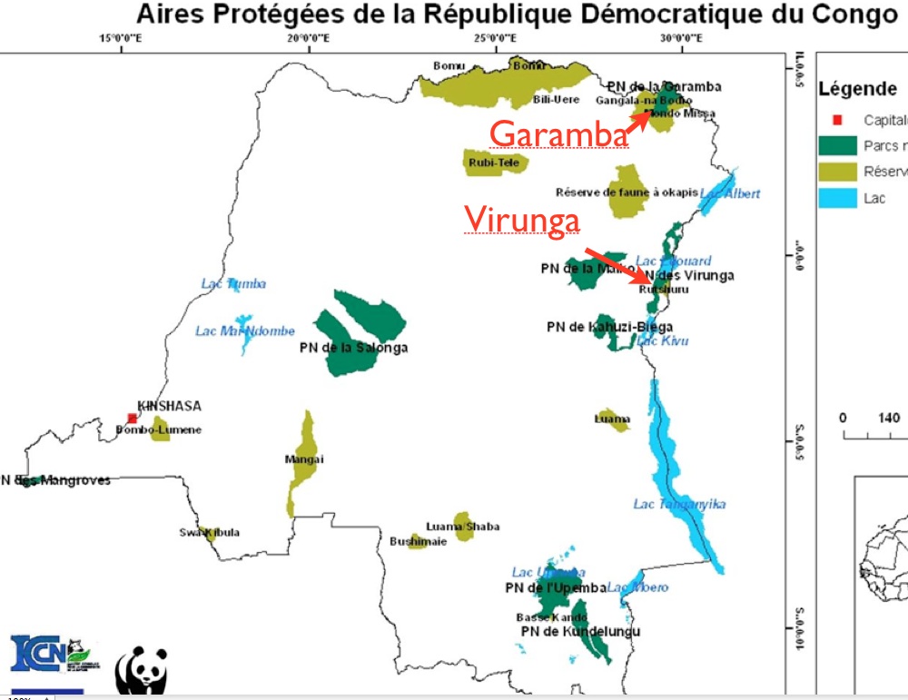[Virunga4.jpg]