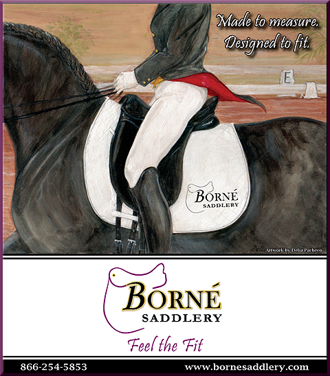 borne saddlery
