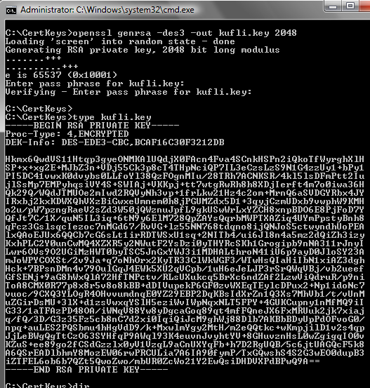 [1_OpenSSL_RSA_Key_Generation.png]