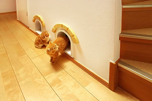 [casa_gatos02.jpg]