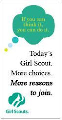 Girl Scouts Rocks!