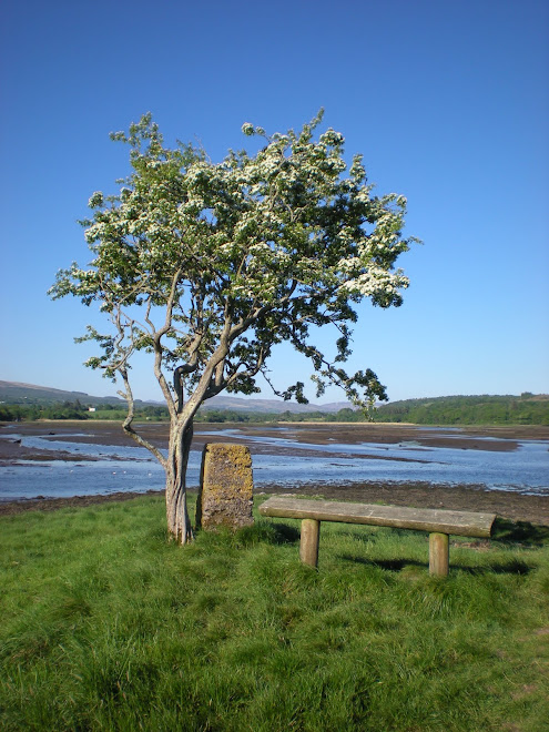 Kenmare Bay