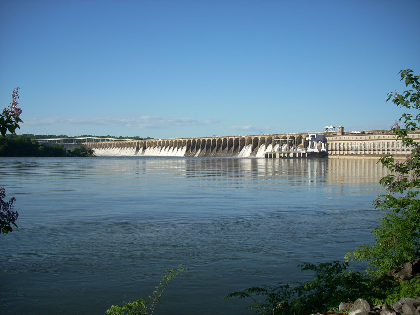 Wilson Dam Al
