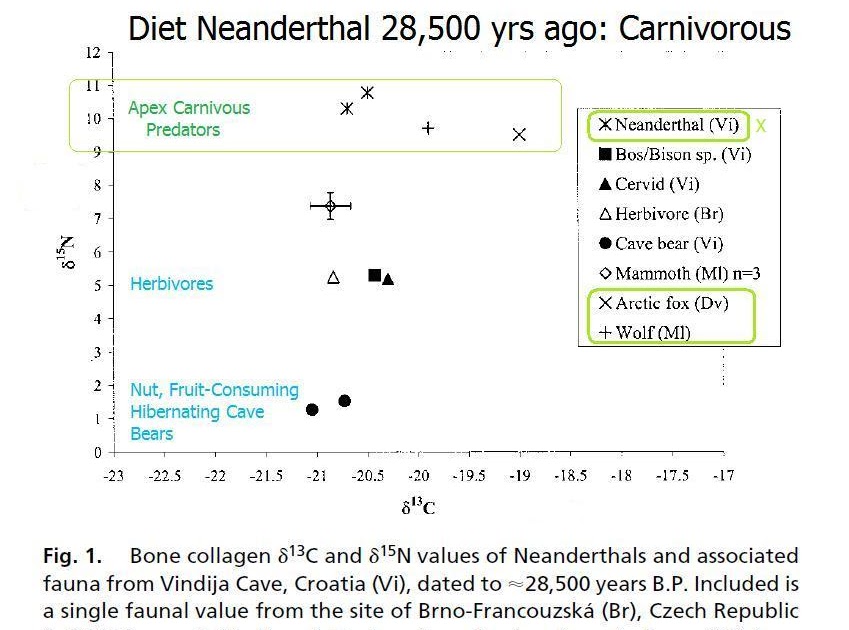 Afra zomorodian thesis 05 image