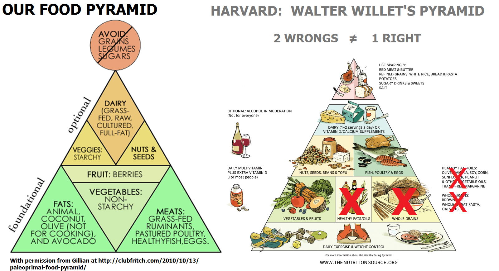 food pyramid 2 essay Sample essay topic, essay writing: the food guide pyramid is good - 994 words the food guide pyramid plays an important role in the health education of the. food pyramid 2 essay Sample essay topic, essay writing: the food guide pyramid is good - 994 words the food guide pyramid plays an important role in the health education of the.