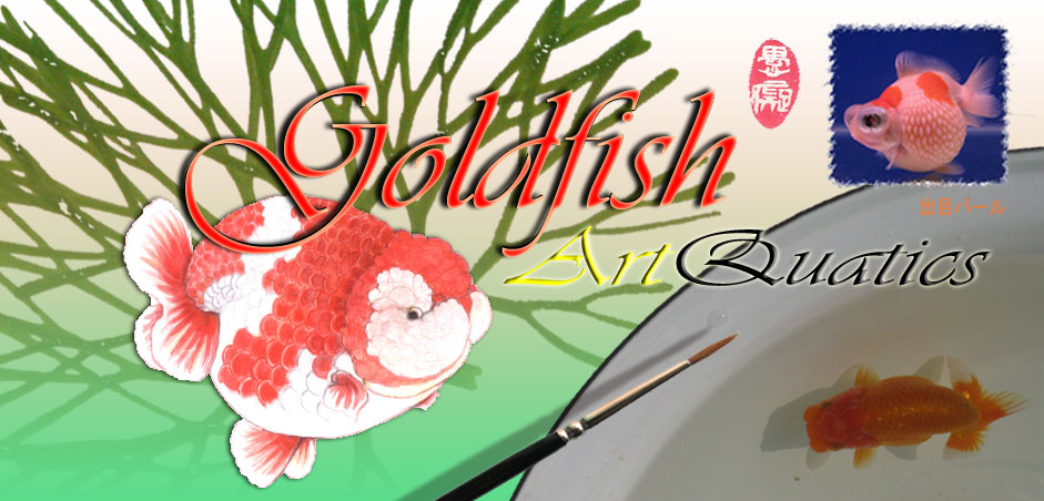 GoldfishArtQuatics