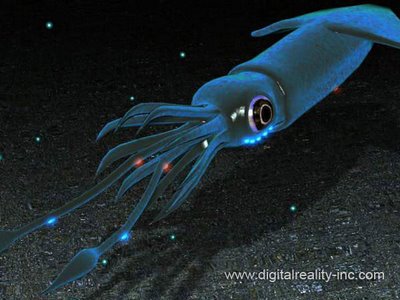 BIOLUMINISCENCIA