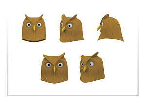Owl Facial Morphs