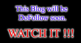 Dofollow Blog