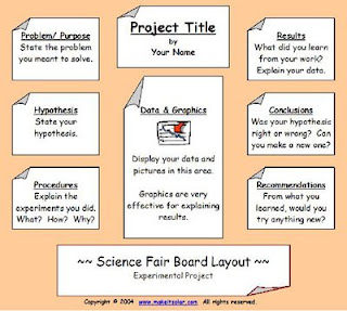 Science Project Chart Work