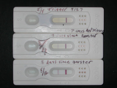 Negative Hpt 14 Days After Et Diigo Groups