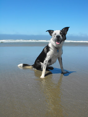 Lilo @ The Oregon Coast