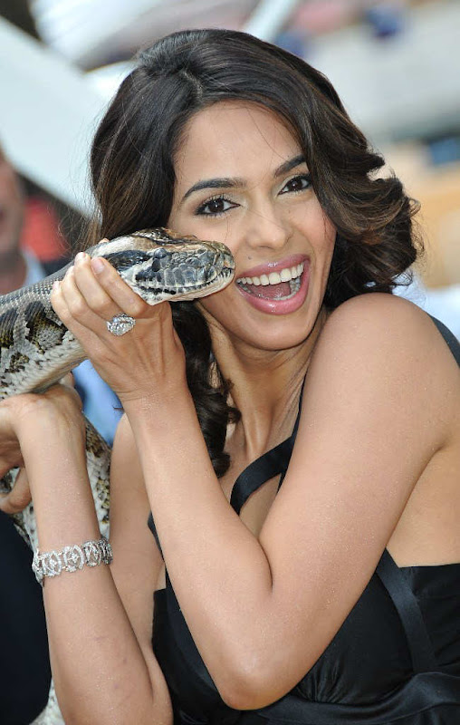 Mallika Sherawat Enjoying with Snakes wallpapers