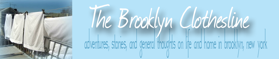 The  *  Brooklyn  *  Clothesline