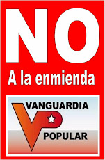 NO a la enmienda