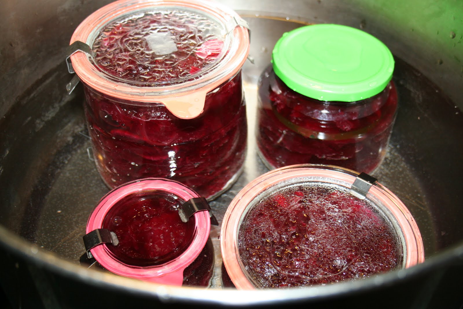 Eenvoudig Leven Bietjes in zoetzuur