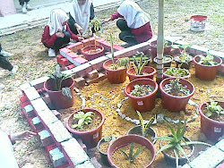 TANAM POKOK 2010