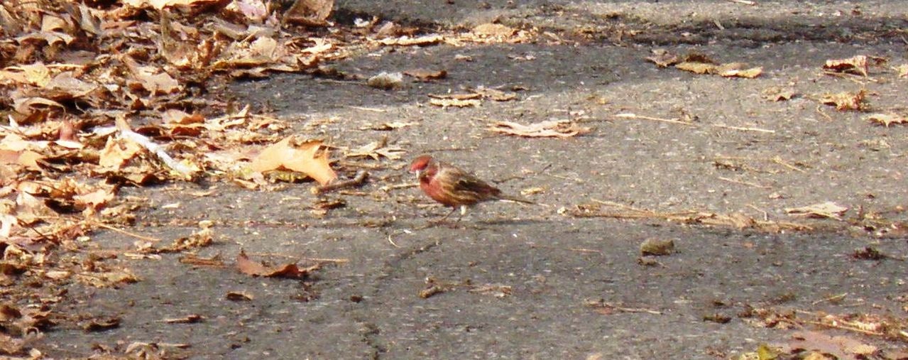 [PC080293.JPG]