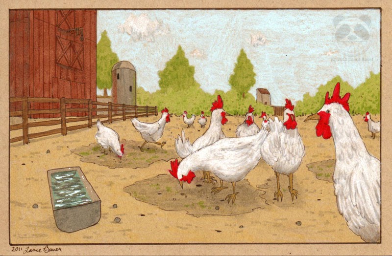 Panda Advantage Illustration Friday Chickens