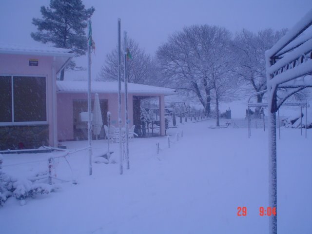 [Imagem+071.jpg]